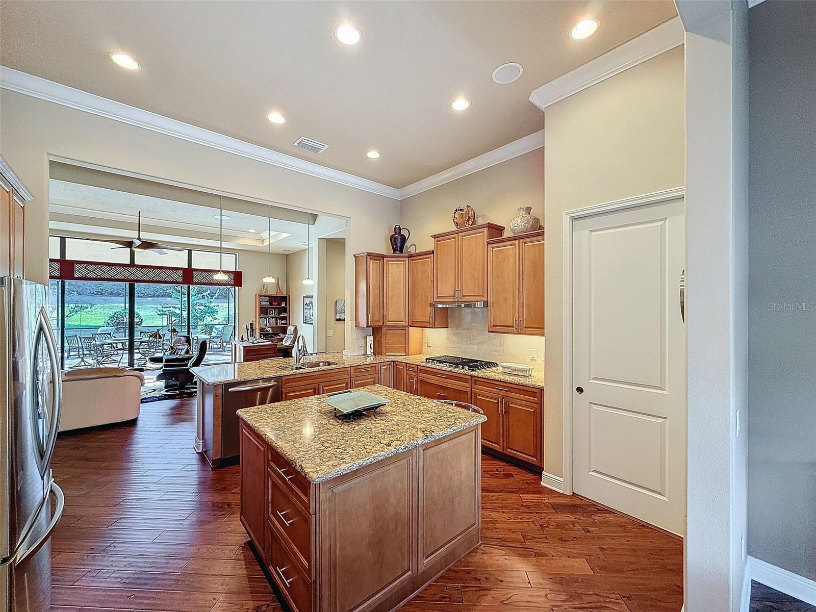 1542 N RIDGE MEADOW PATH, HERNANDO, FL, 34442