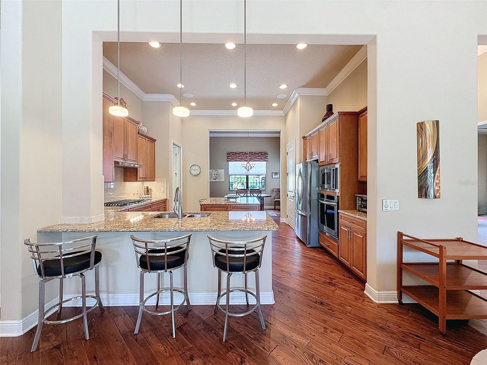 1542 N RIDGE MEADOW PATH, HERNANDO, FL, 34442