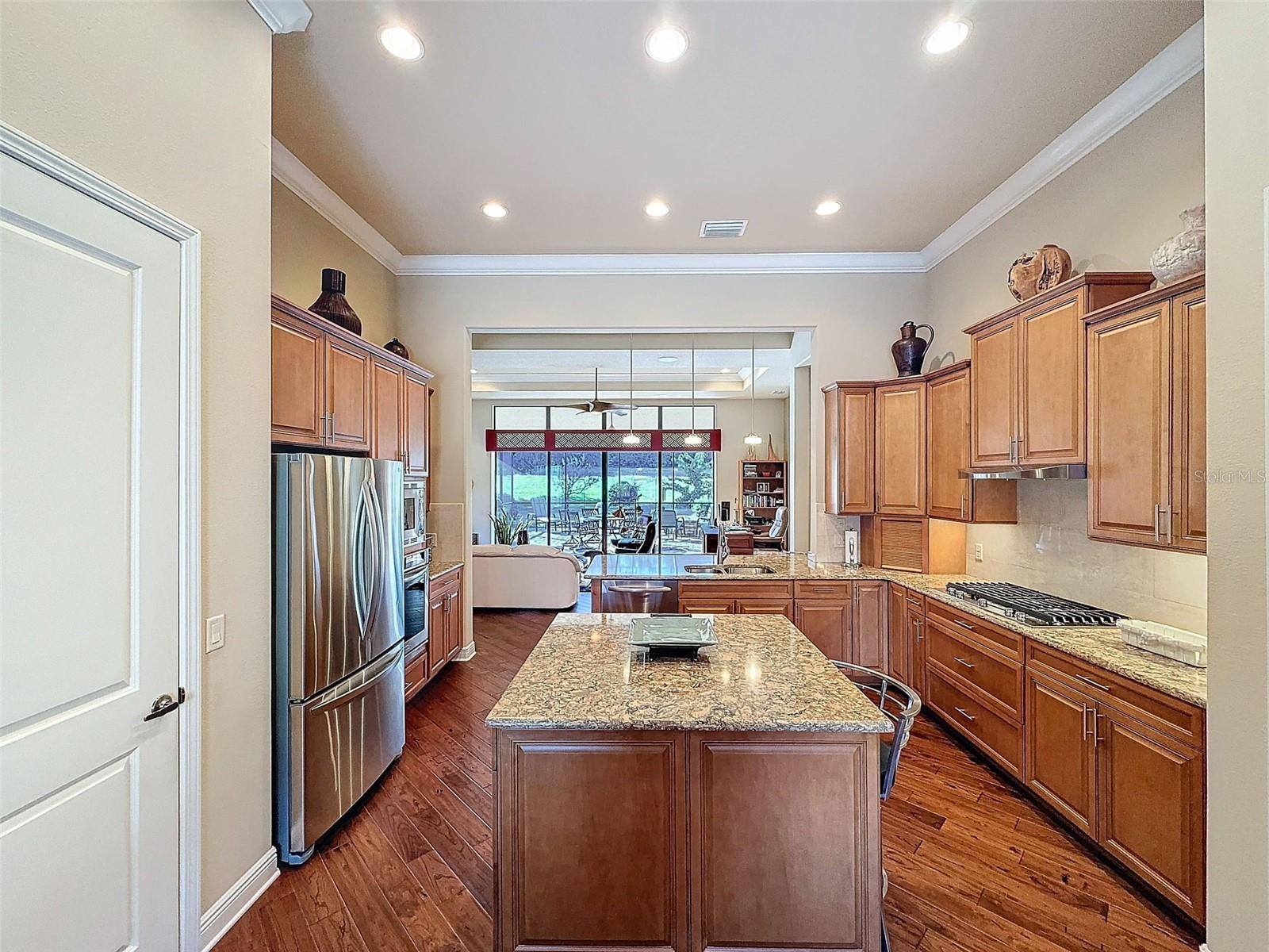 1542 N RIDGE MEADOW PATH, HERNANDO, FL, 34442