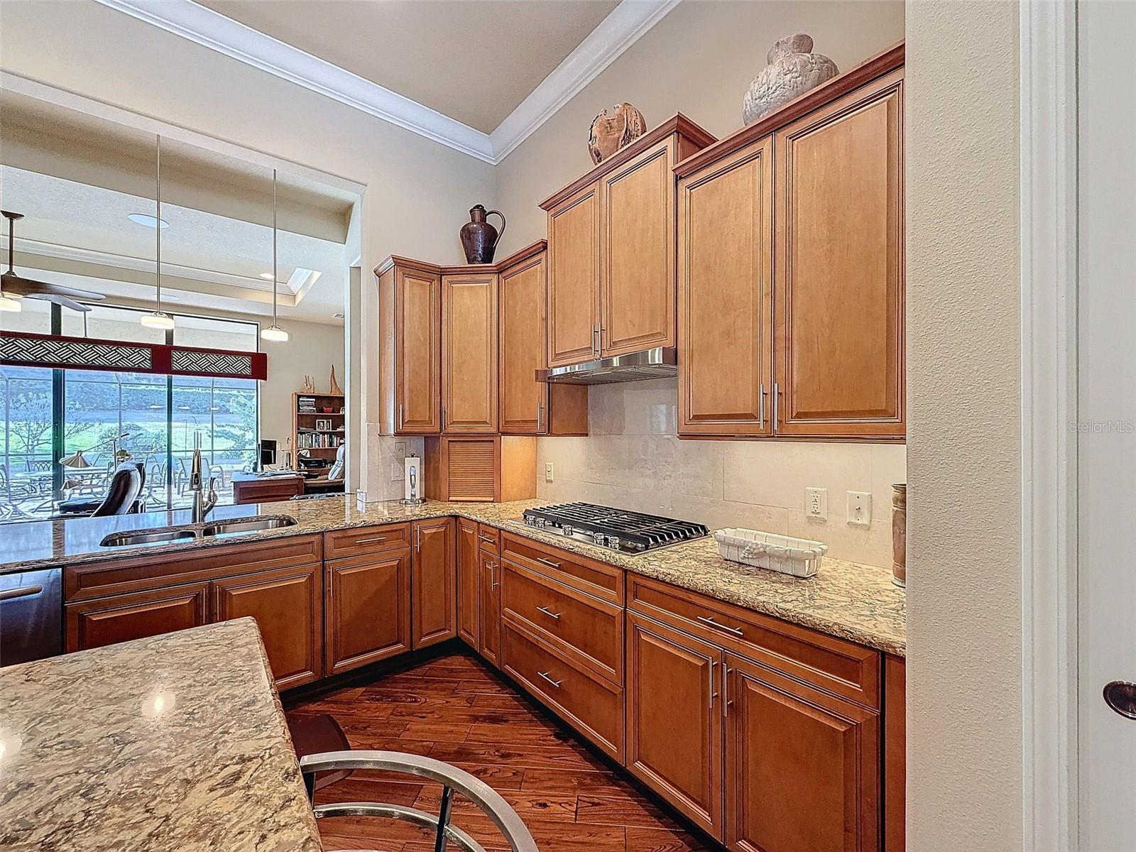 1542 N RIDGE MEADOW PATH, HERNANDO, FL, 34442