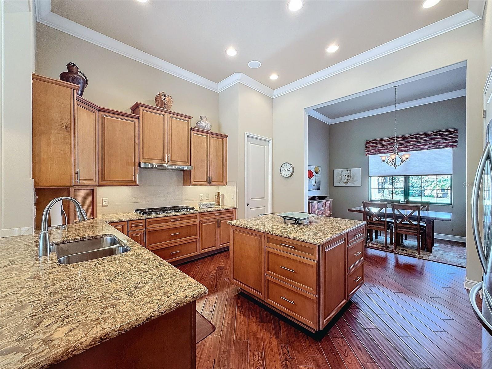 1542 N RIDGE MEADOW PATH, HERNANDO, FL, 34442