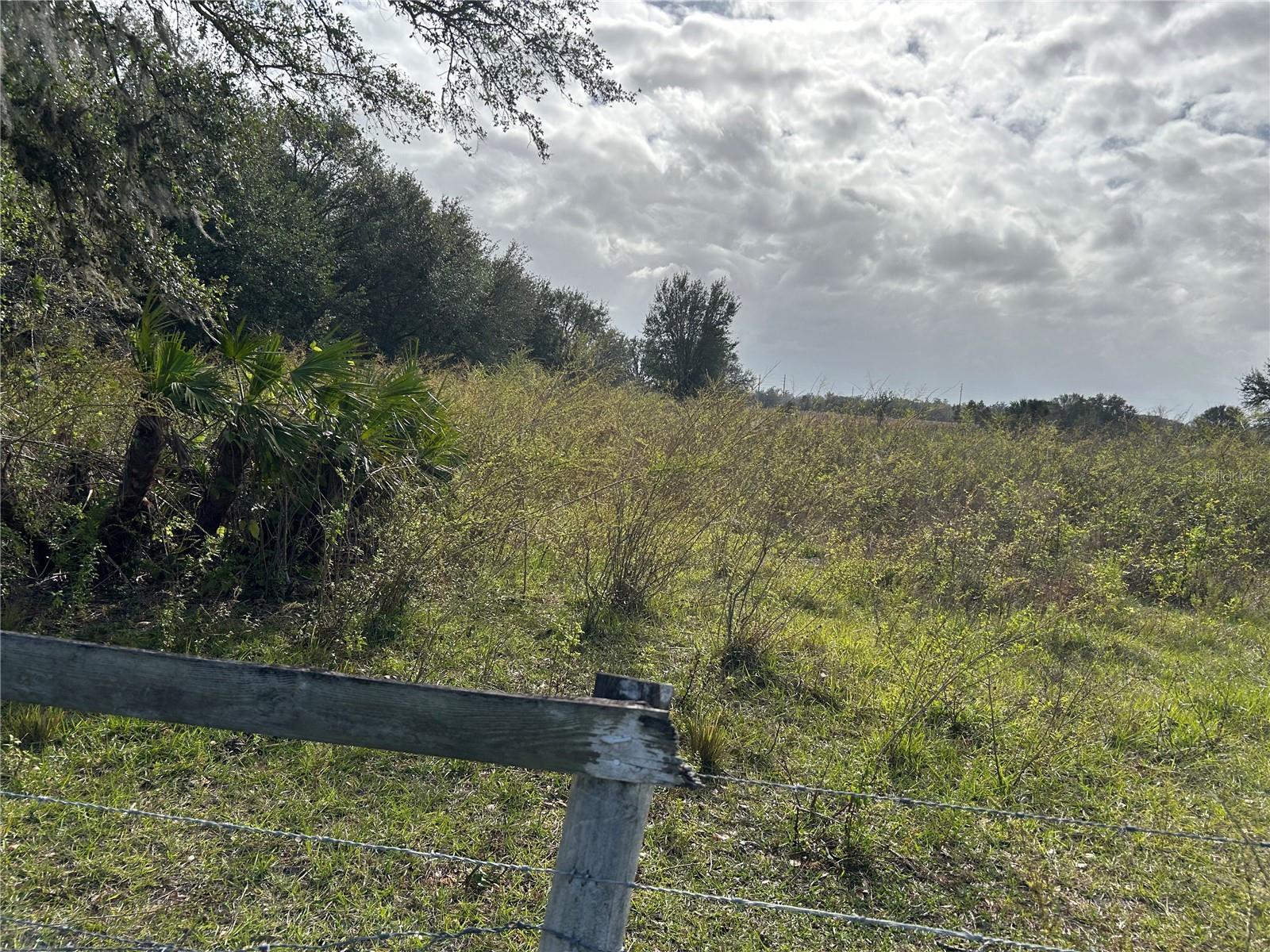 SR-64, ZOLFO SPRINGS, FL, 33890