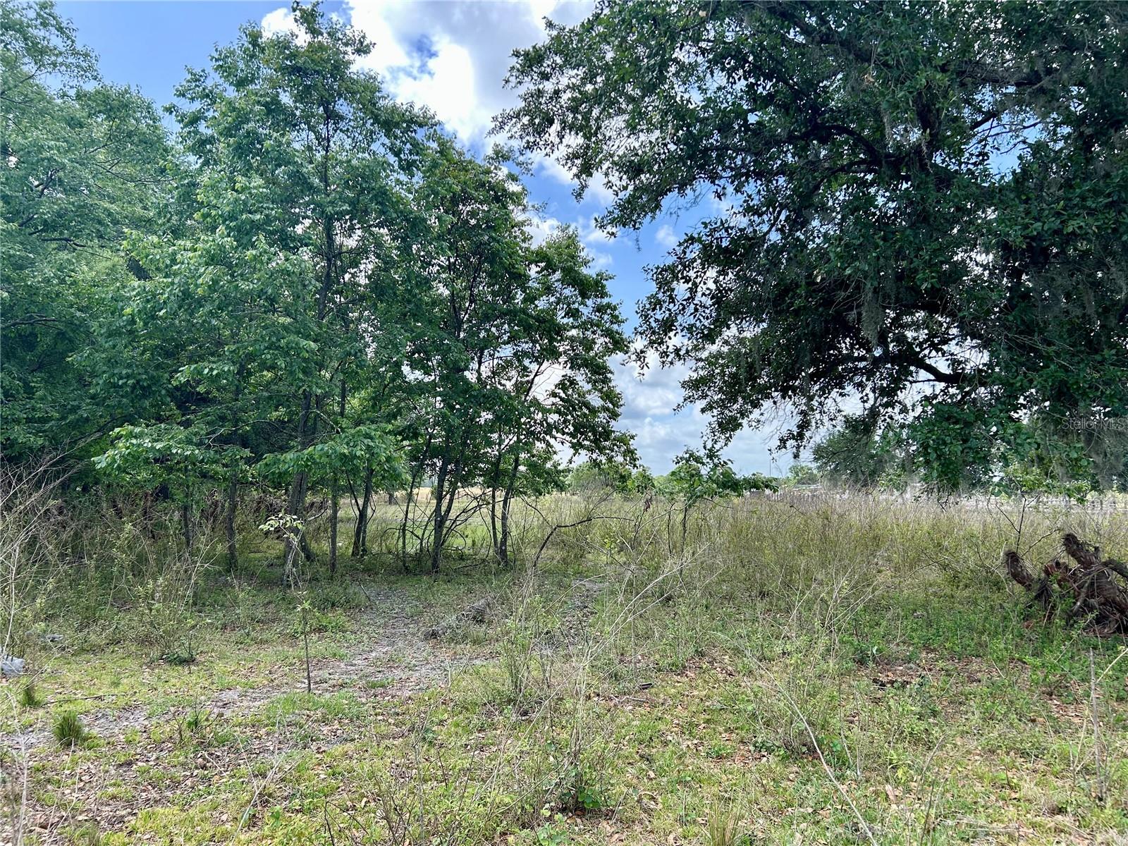 SR-64, ZOLFO SPRINGS, FL, 33890