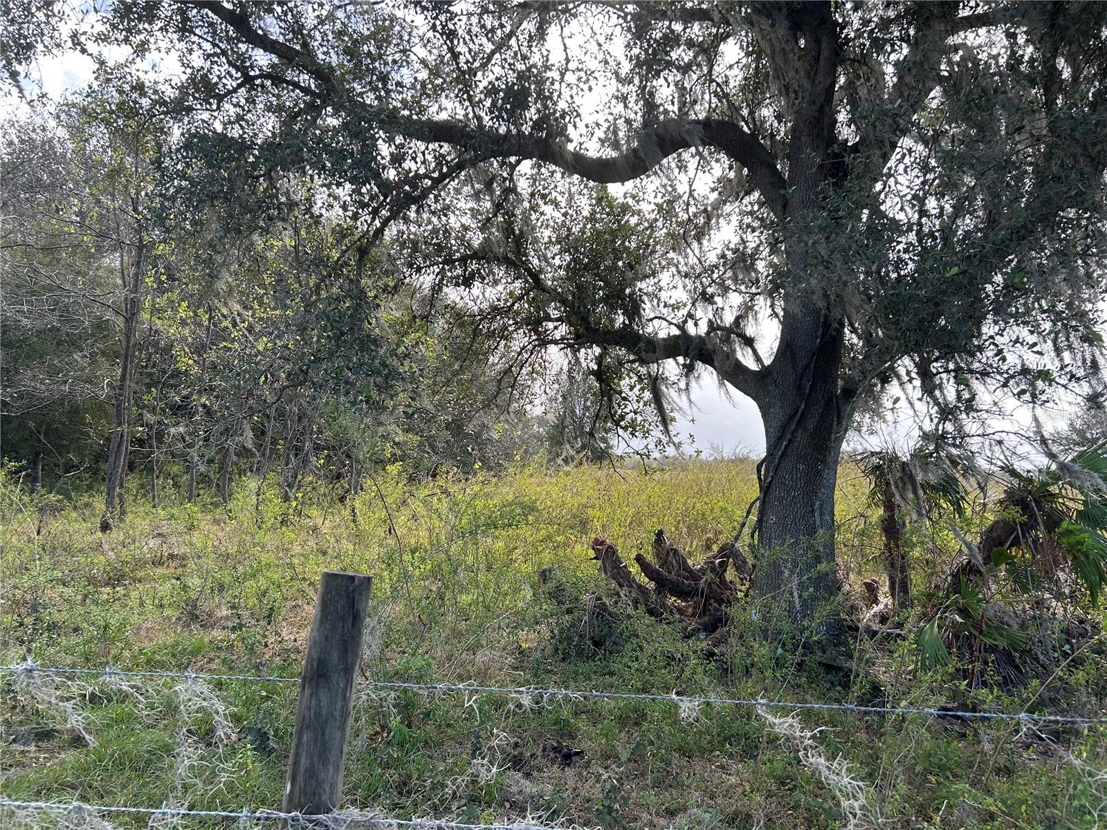 SR-64, ZOLFO SPRINGS, FL, 33890