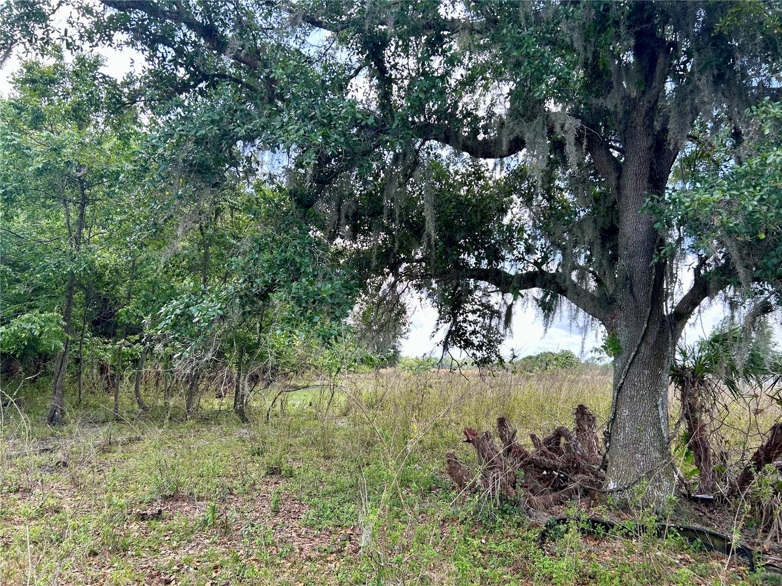 SR-64, ZOLFO SPRINGS, FL, 33890