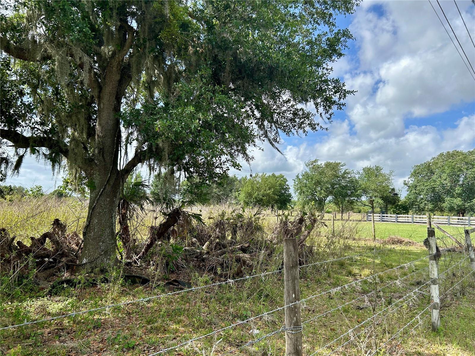 SR-64, ZOLFO SPRINGS, FL, 33890