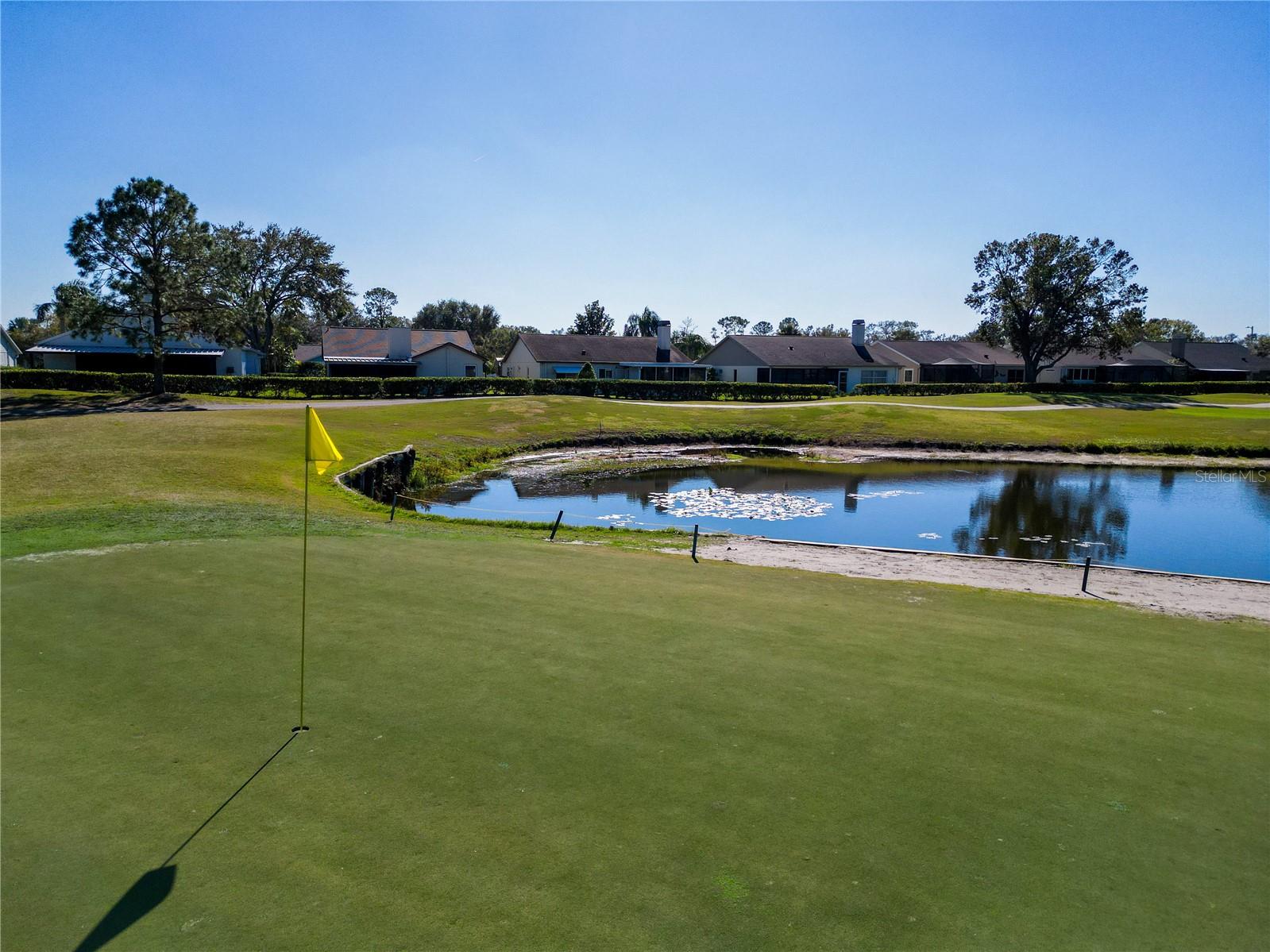 11224 VILLAS ON THE GREEN DR #77, RIVERVIEW, FL, 33579