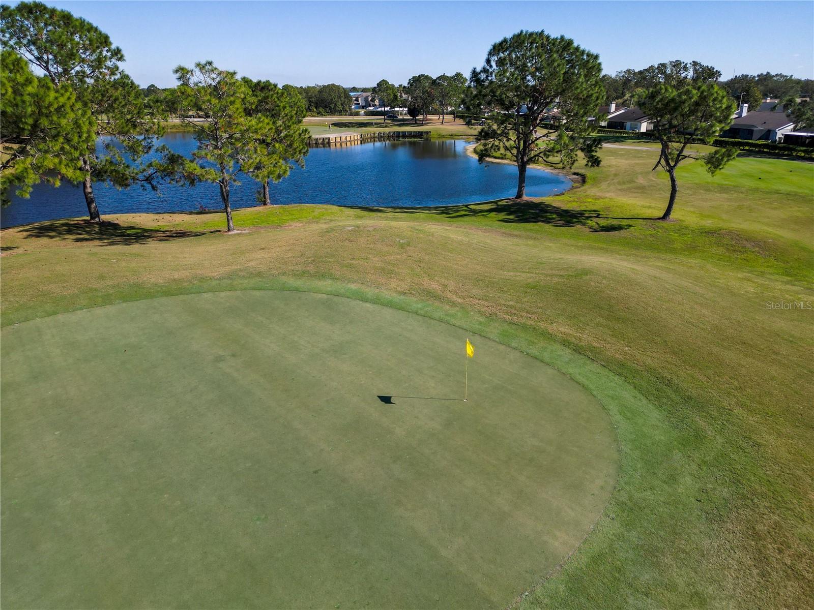 11224 VILLAS ON THE GREEN DR #77, RIVERVIEW, FL, 33579
