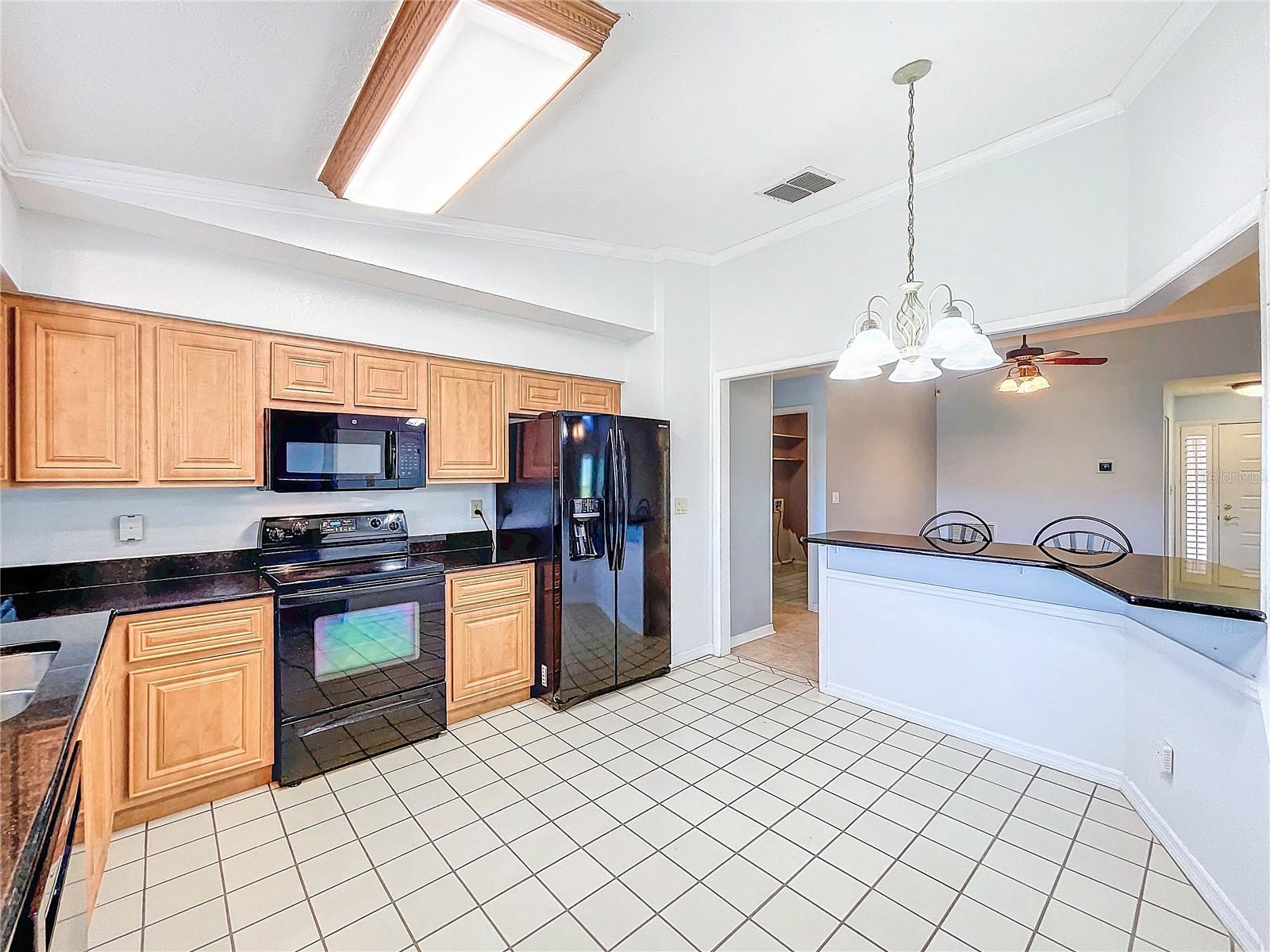 11224 VILLAS ON THE GREEN DR #77, RIVERVIEW, FL, 33579