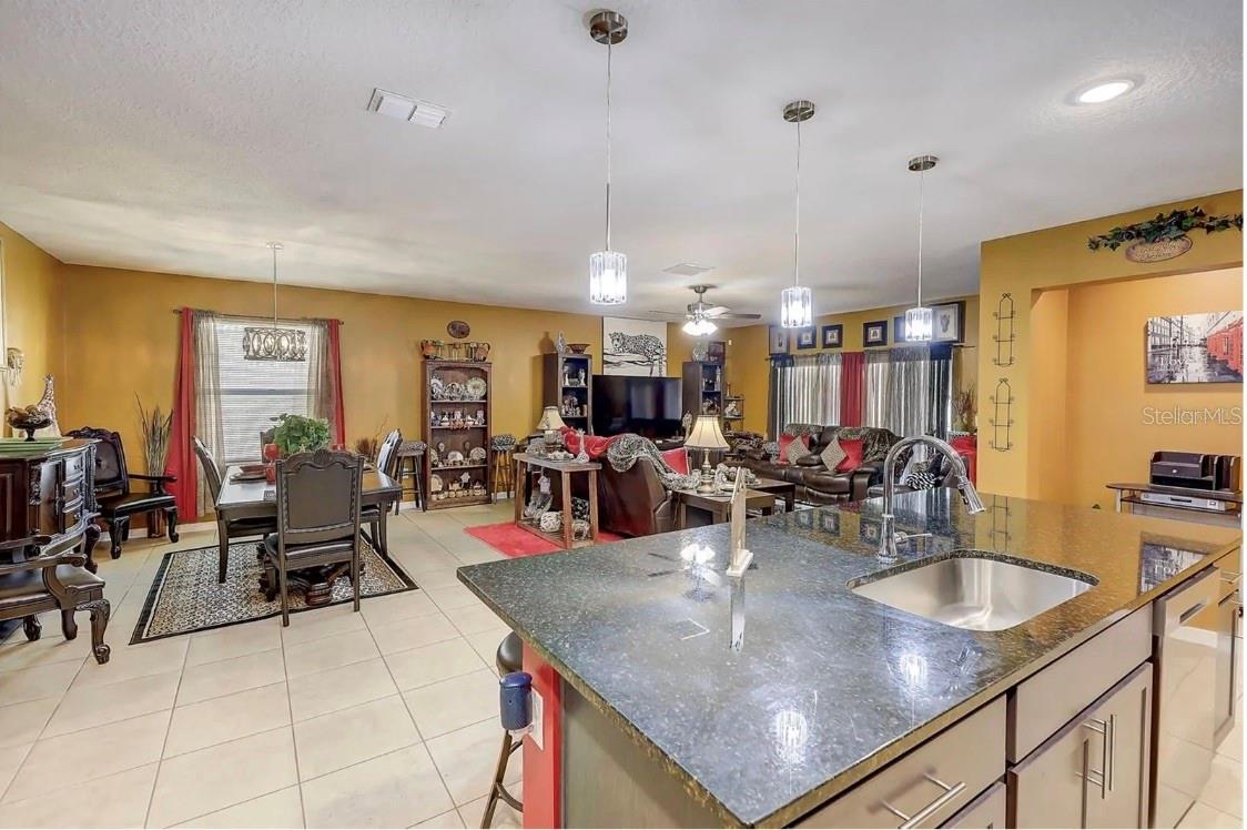 1041 BRADFORD RIDGE DR, LEESBURG, FL, 34748