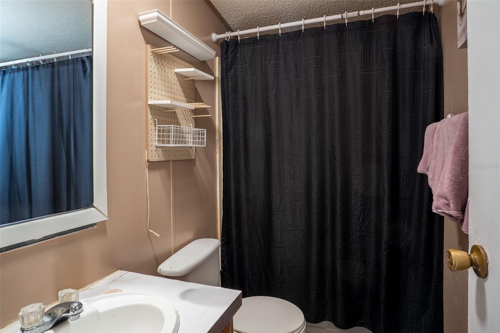 106 SUNNYSIDE CT, LAKE PLACID, FL, 33852