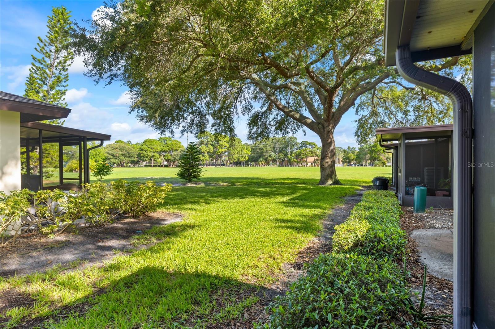 2488 ENTERPRISE RD #2, CLEARWATER, FL, 33763