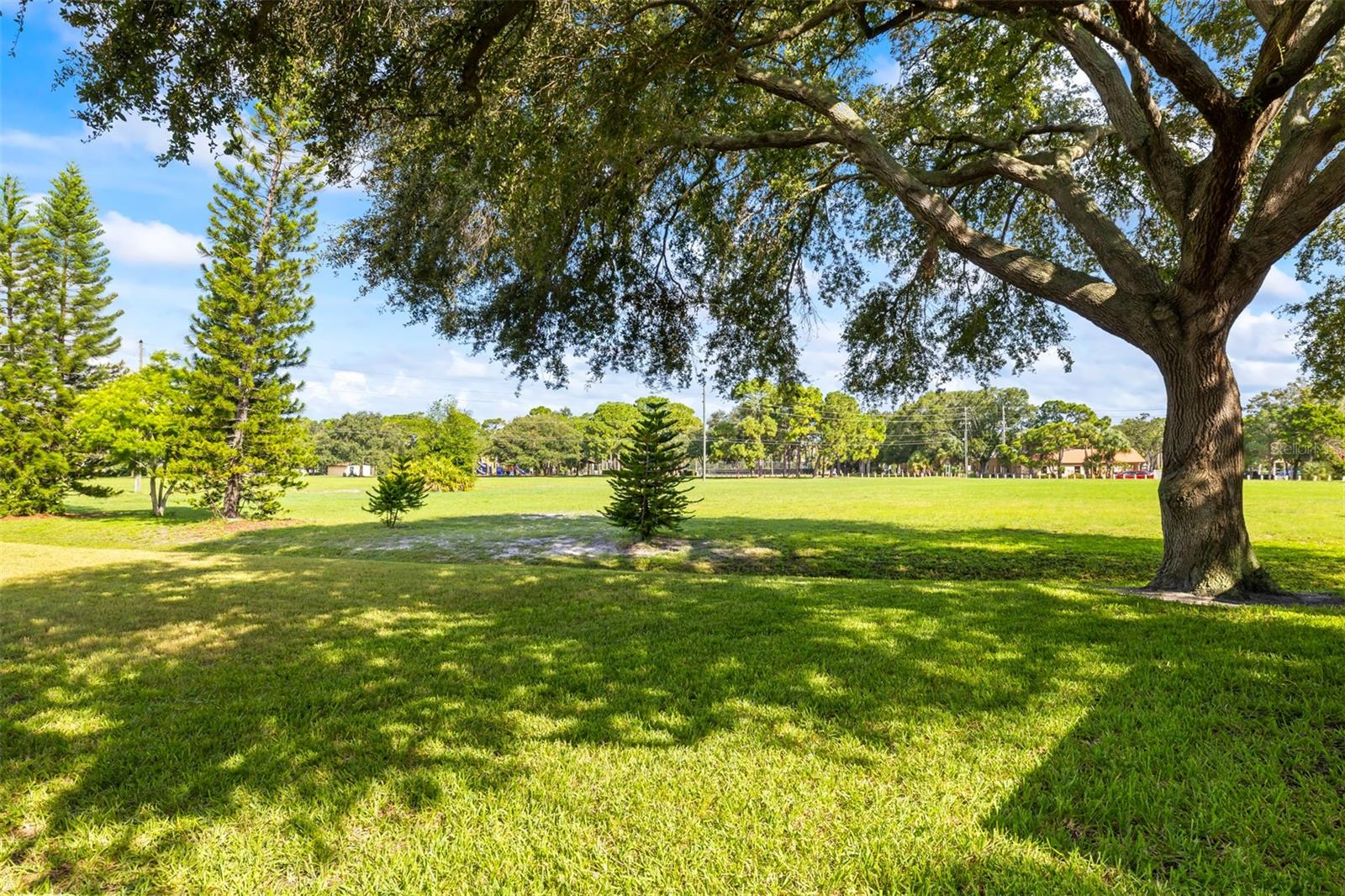 2488 ENTERPRISE RD #2, CLEARWATER, FL, 33763
