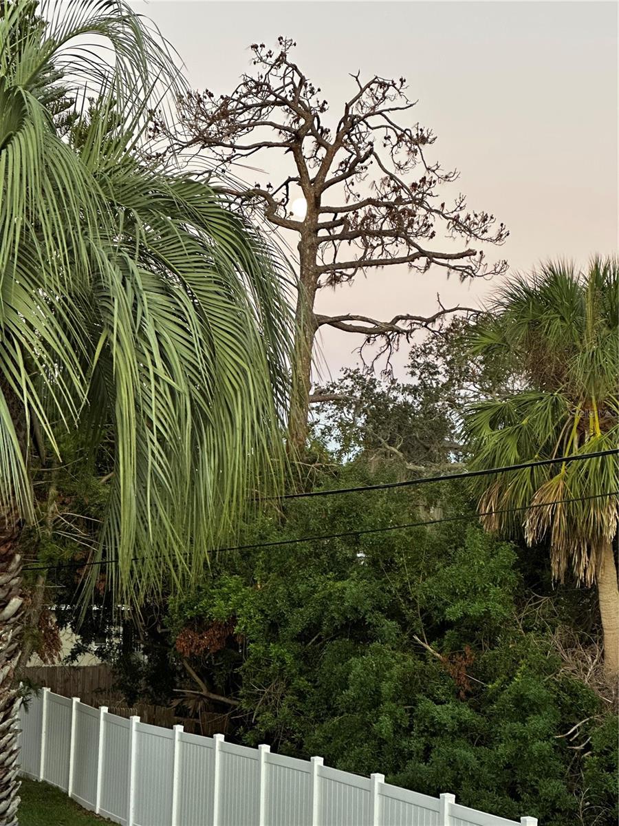7223 MORNINGSTAR LN, NEW PORT RICHEY, FL, 34652