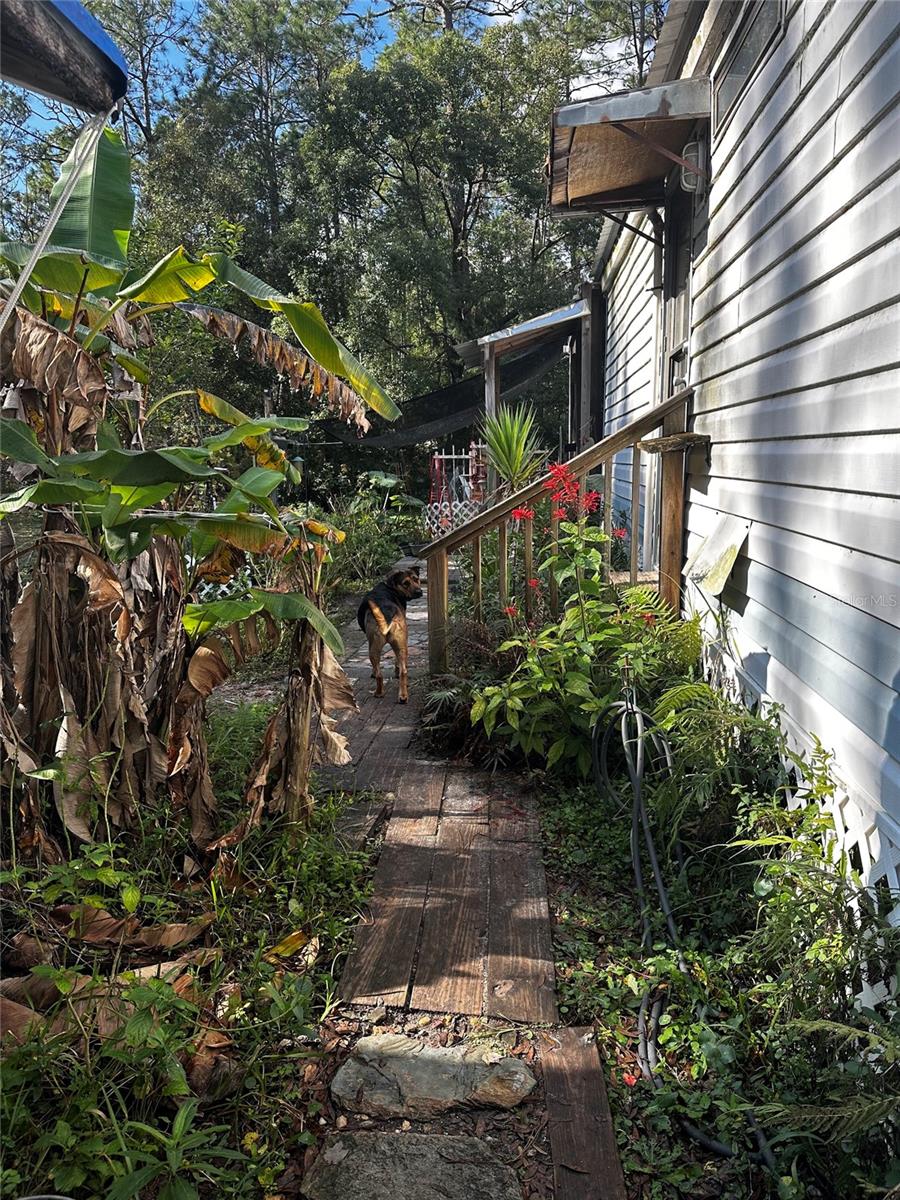 2350 BLUEBERRY ST, BUNNELL, FL, 32110