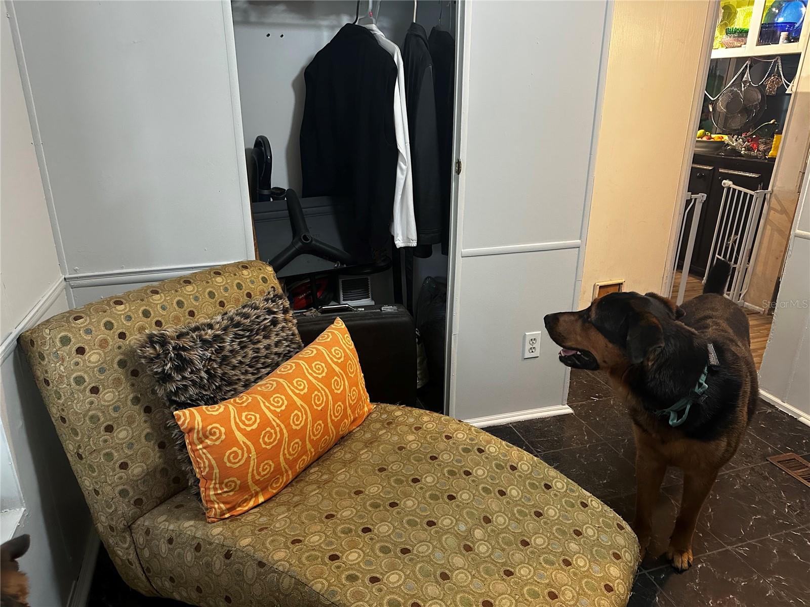 2350 BLUEBERRY ST, BUNNELL, FL, 32110