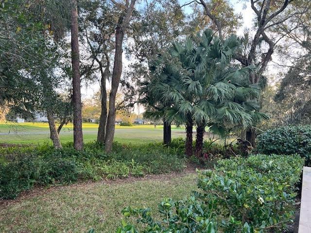 10 WOODRIDGE CIR, OLDSMAR, FL, 34677