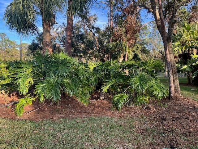 10 WOODRIDGE CIR, OLDSMAR, FL, 34677