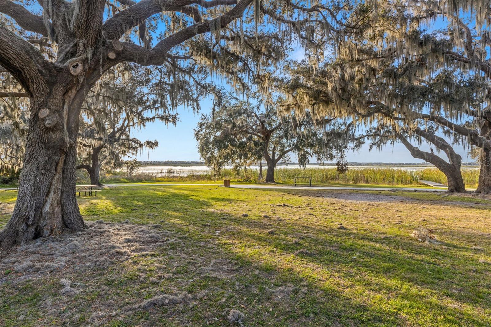 9028 IVY STARK BLVD, WESLEY CHAPEL, FL, 33545