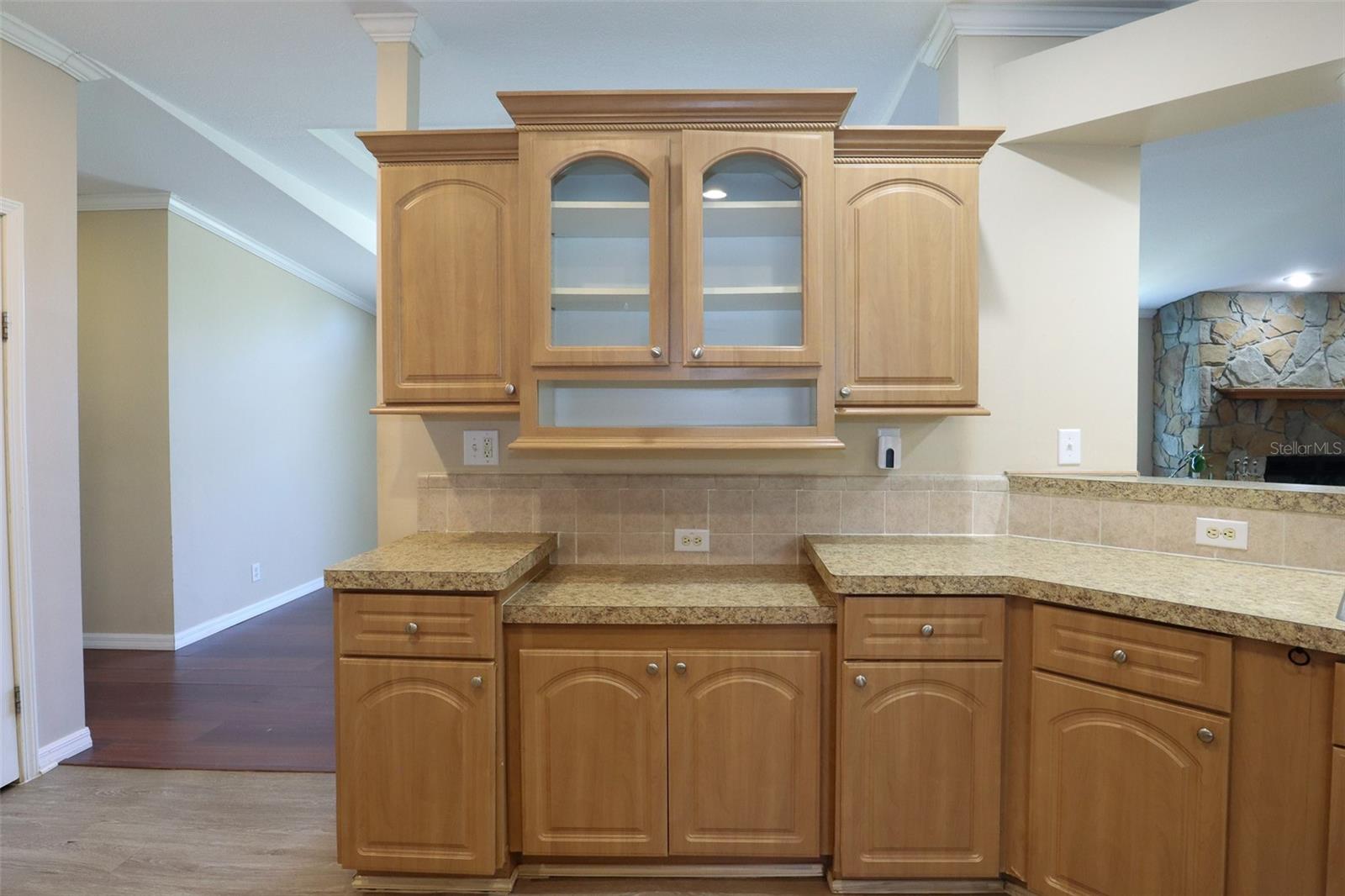 10939 PATHFINDER TRL, LAKELAND, FL, 33809