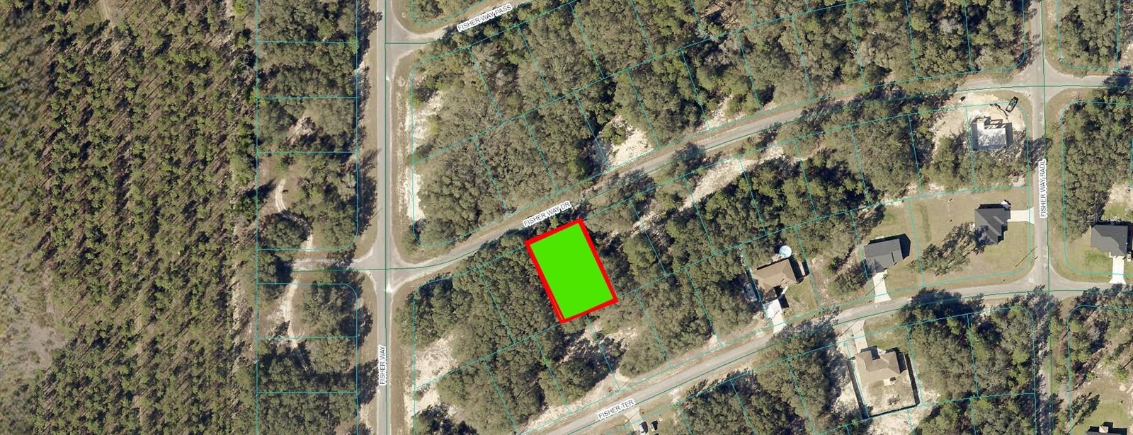 FISHER WAY DR, OCKLAWAHA, FL, 32179