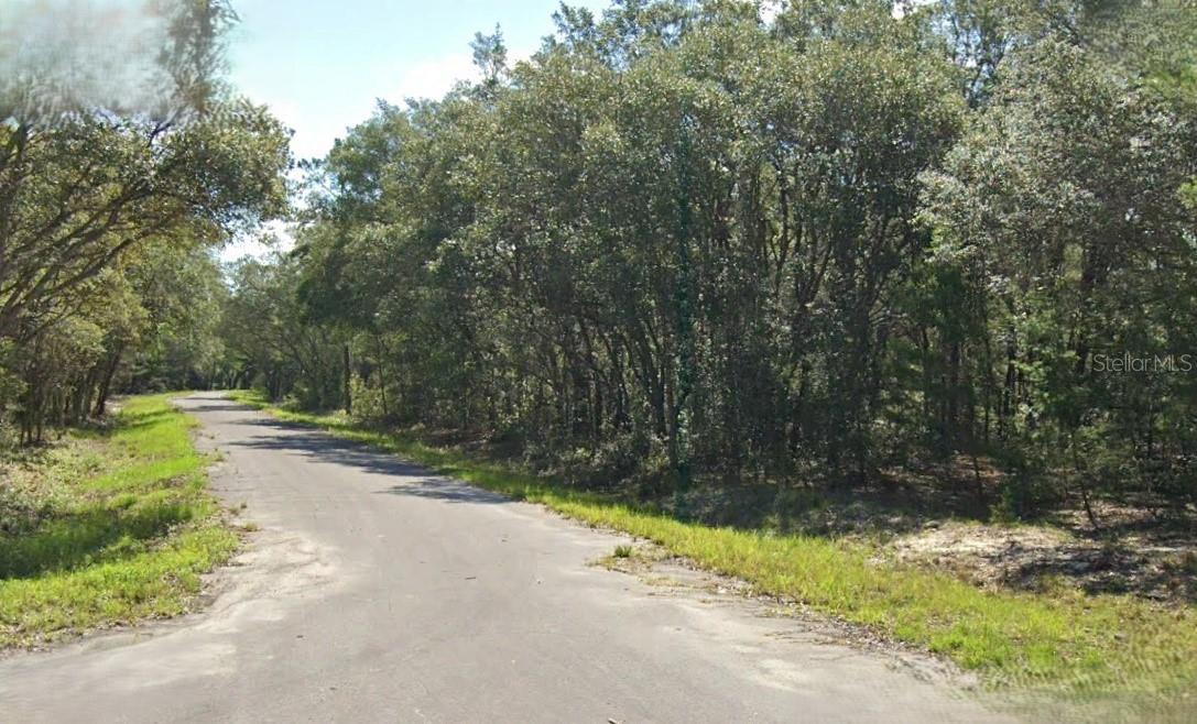 FISHER WAY DR, OCKLAWAHA, FL, 32179