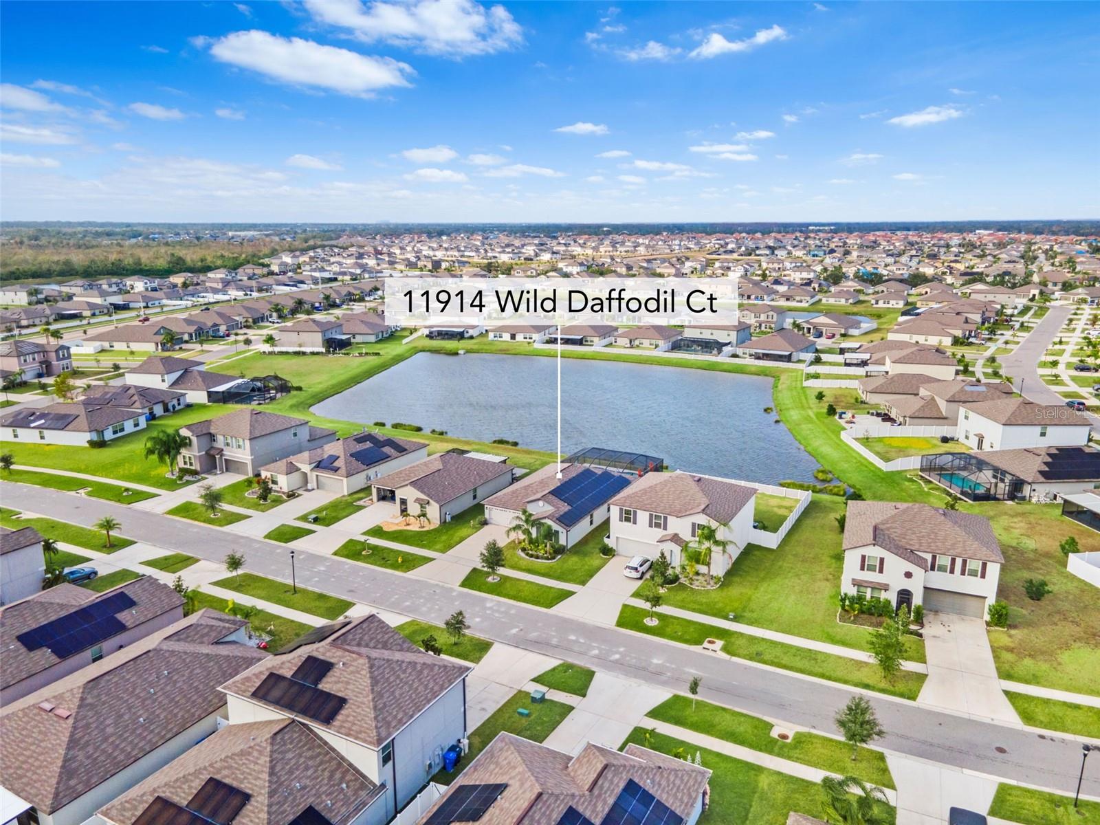 11914 WILD DAFFODIL CT, RIVERVIEW, FL, 33579
