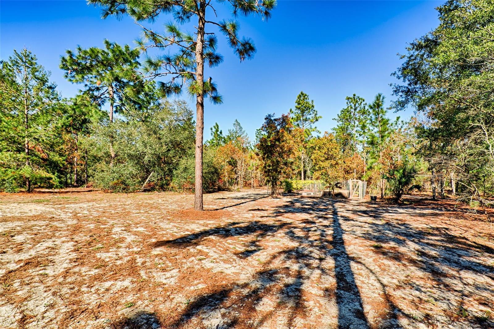 114 DEW DROP DR, HAWTHORNE, FL, 32640