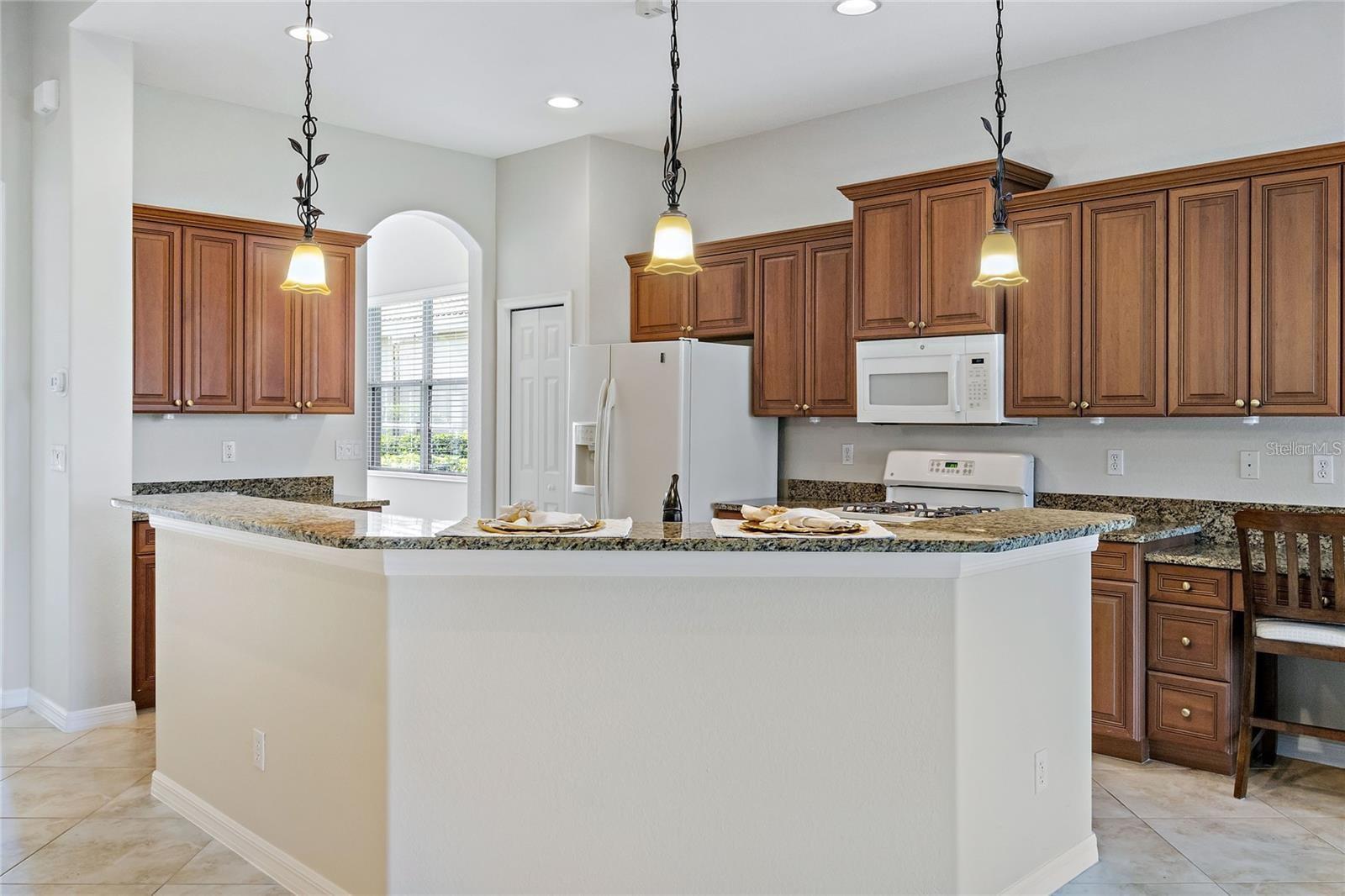 134 SAVONA WAY, NORTH VENICE, FL, 34275