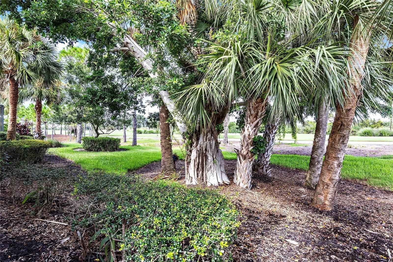 134 SAVONA WAY, NORTH VENICE, FL, 34275