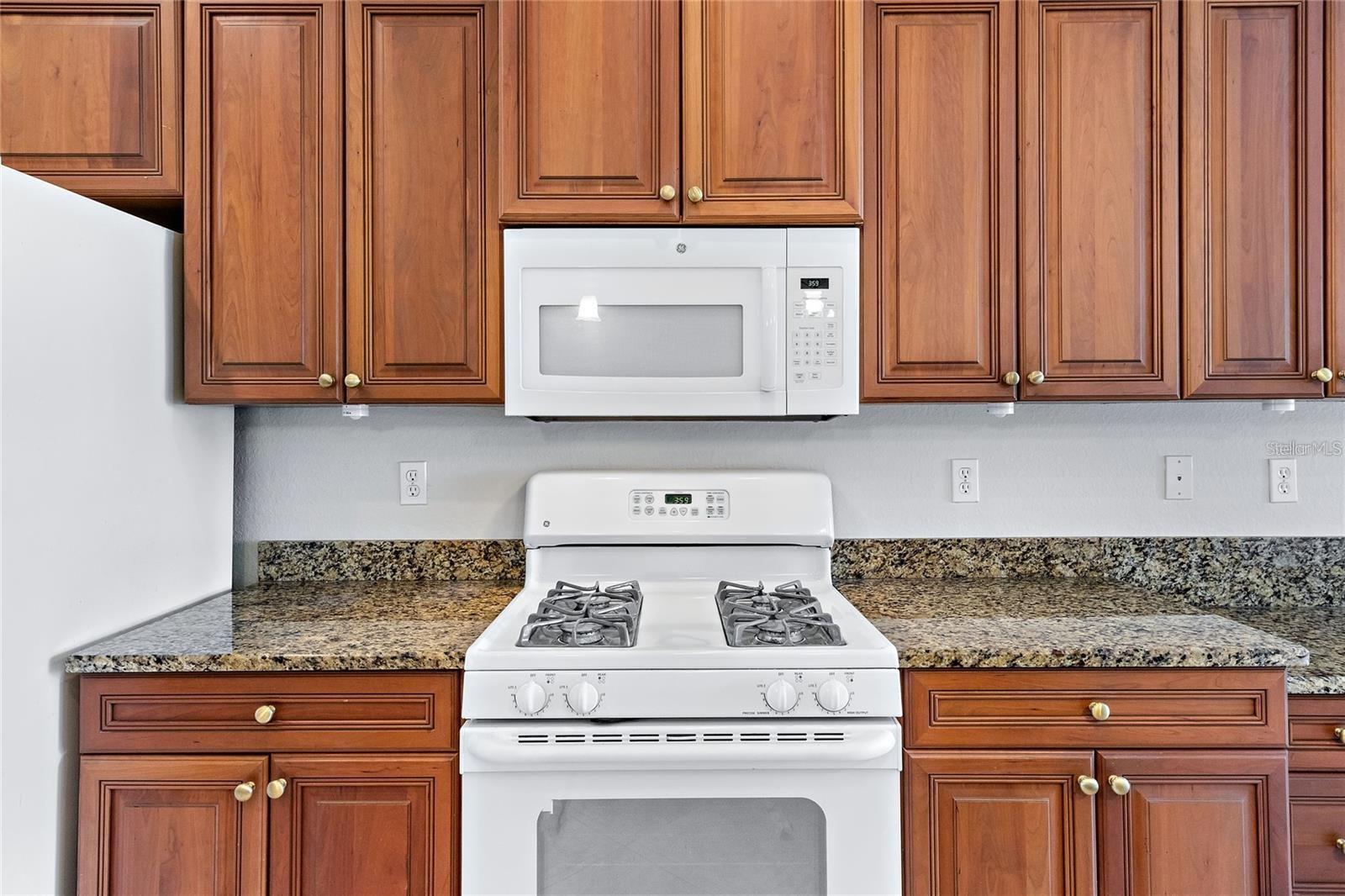 134 SAVONA WAY, NORTH VENICE, FL, 34275