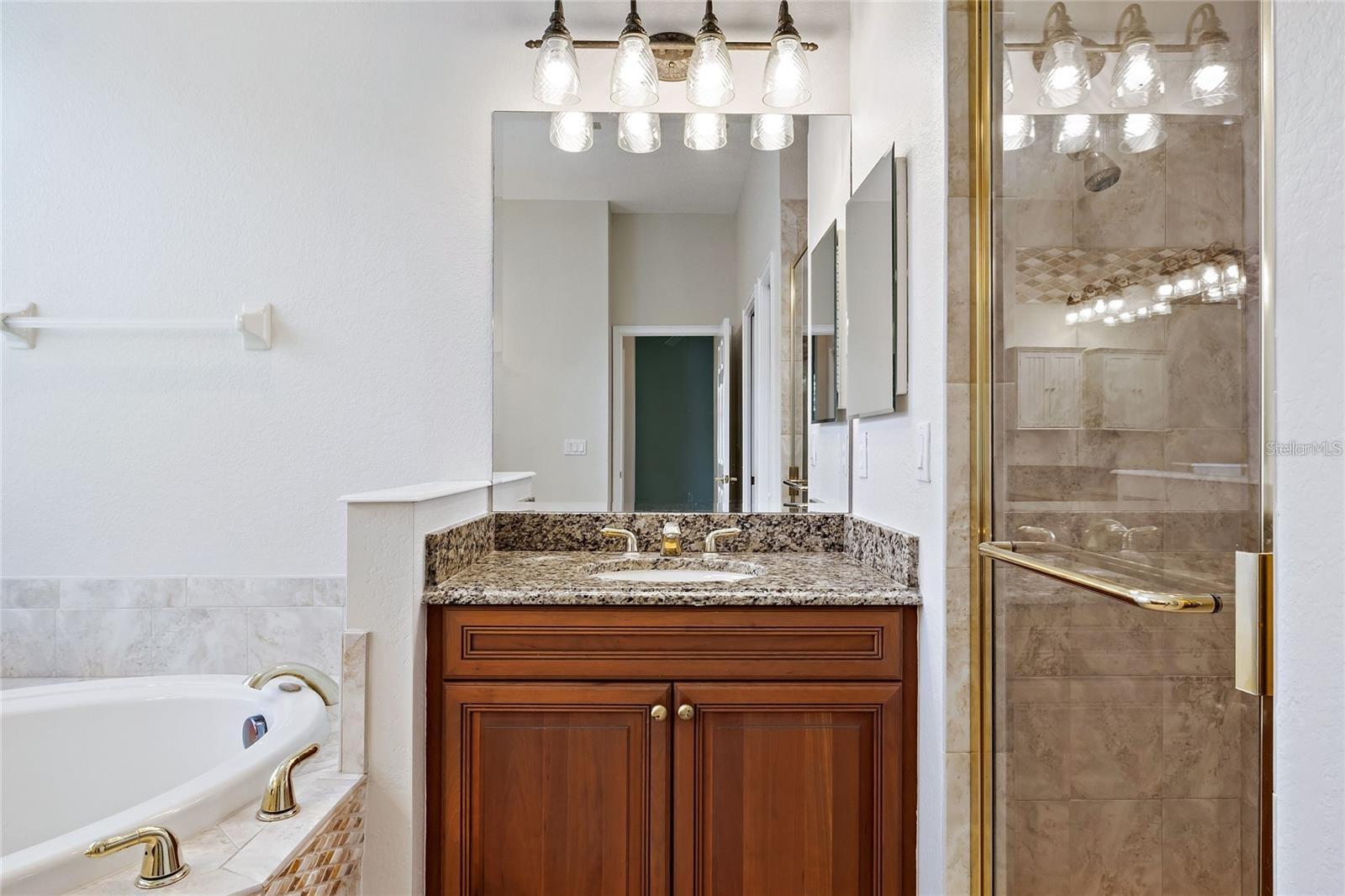 134 SAVONA WAY, NORTH VENICE, FL, 34275