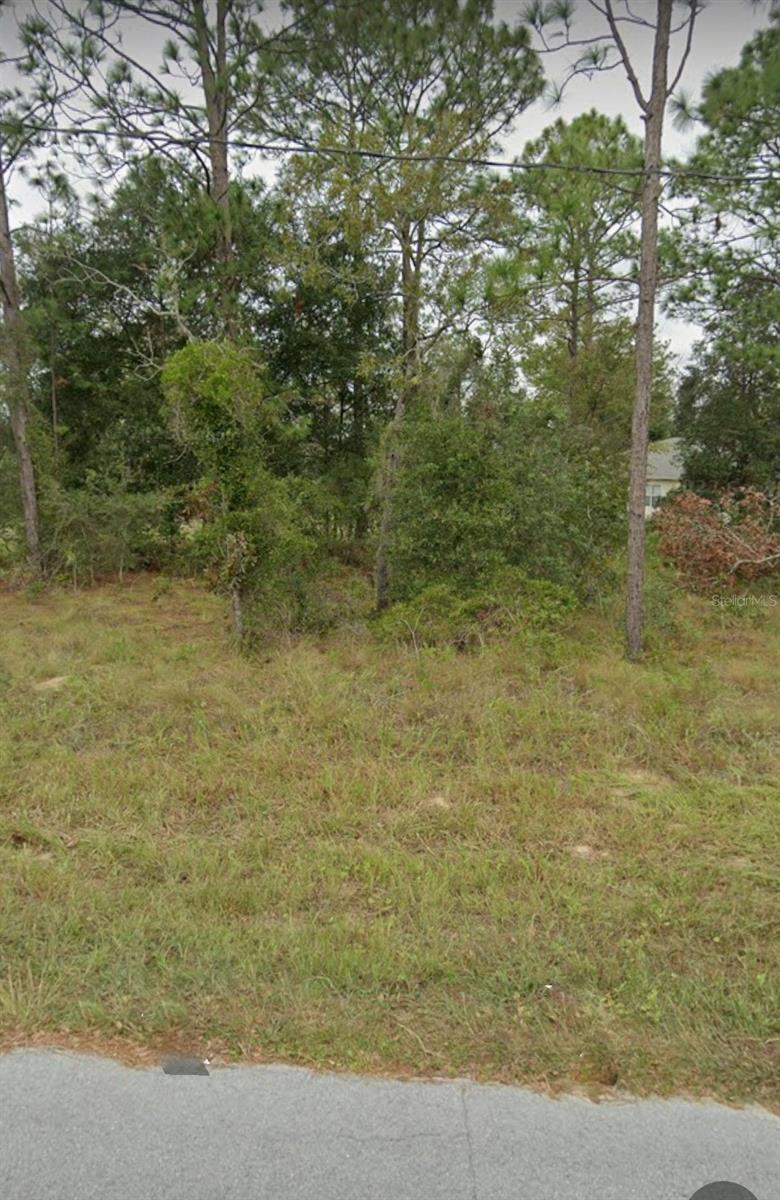 W COUNTRY CLUB DR, WILLISTON, FL, 32696