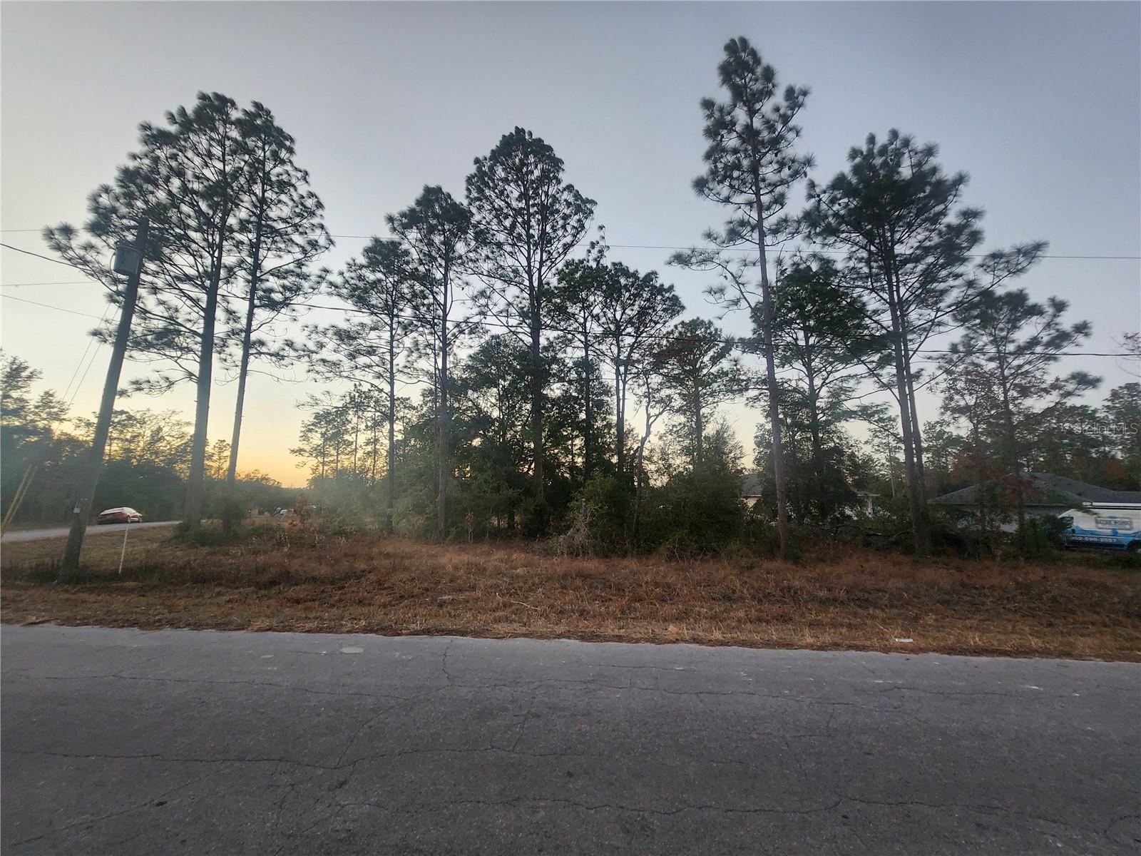 W COUNTRY CLUB DR, WILLISTON, FL, 32696