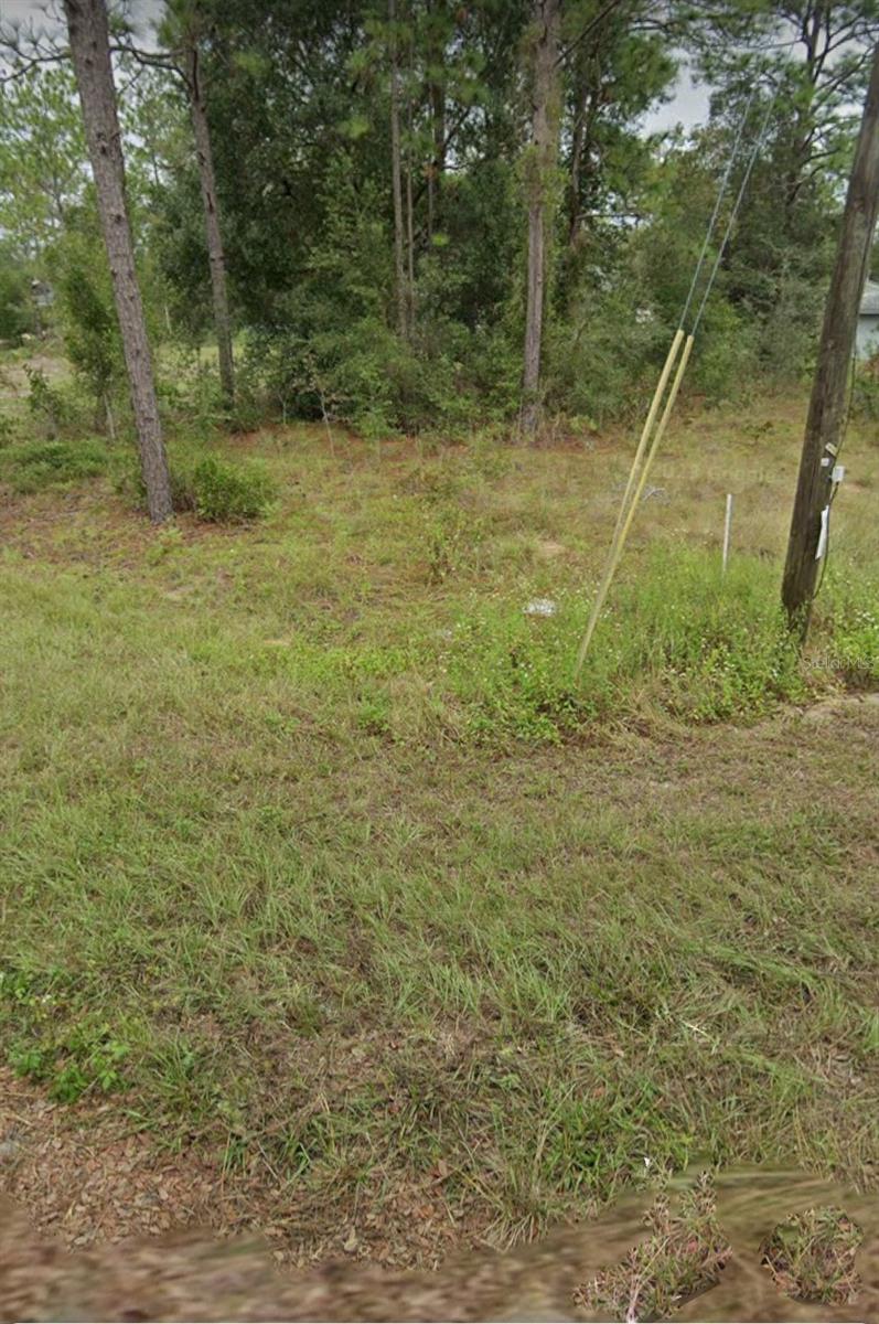 W COUNTRY CLUB DR, WILLISTON, FL, 32696