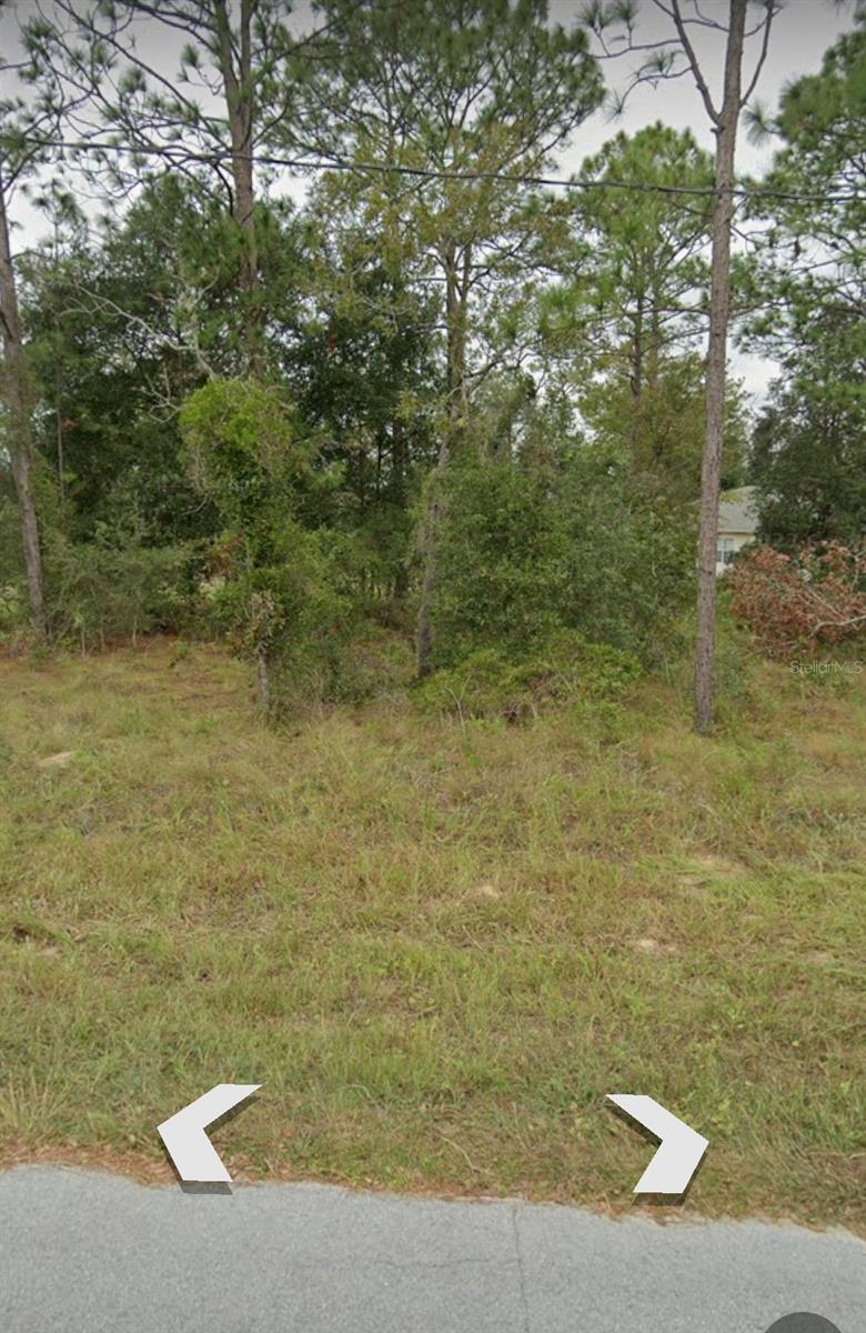 W COUNTRY CLUB DR, WILLISTON, FL, 32696