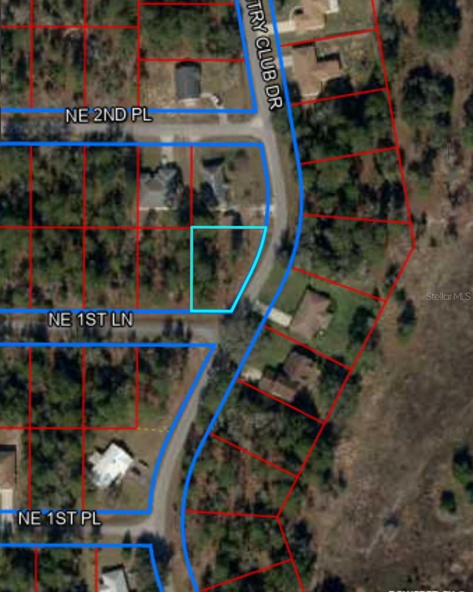 W COUNTRY CLUB DR, WILLISTON, FL, 32696