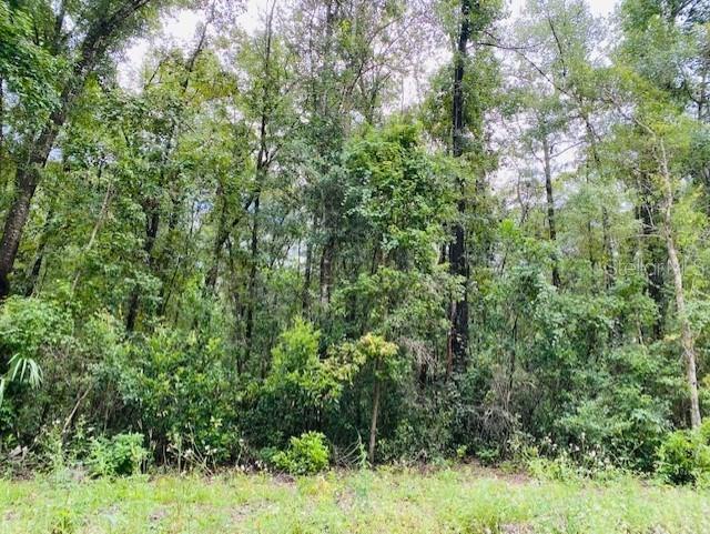 0 NE 756 ST, OLD TOWN, FL, 32680