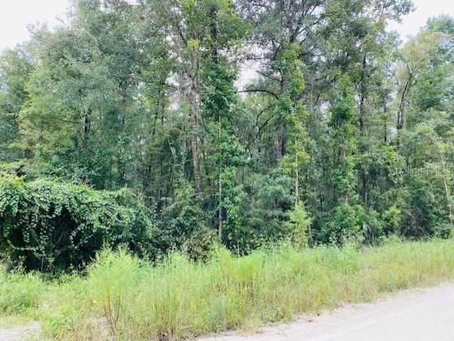 0 NE 756 ST, OLD TOWN, FL, 32680