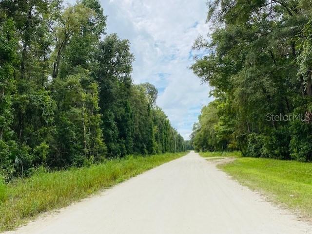 0 NE 756 ST, OLD TOWN, FL, 32680