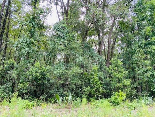 0 NE 756 ST, OLD TOWN, FL, 32680