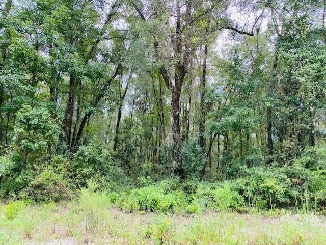 0 NE 756 ST, OLD TOWN, FL, 32680