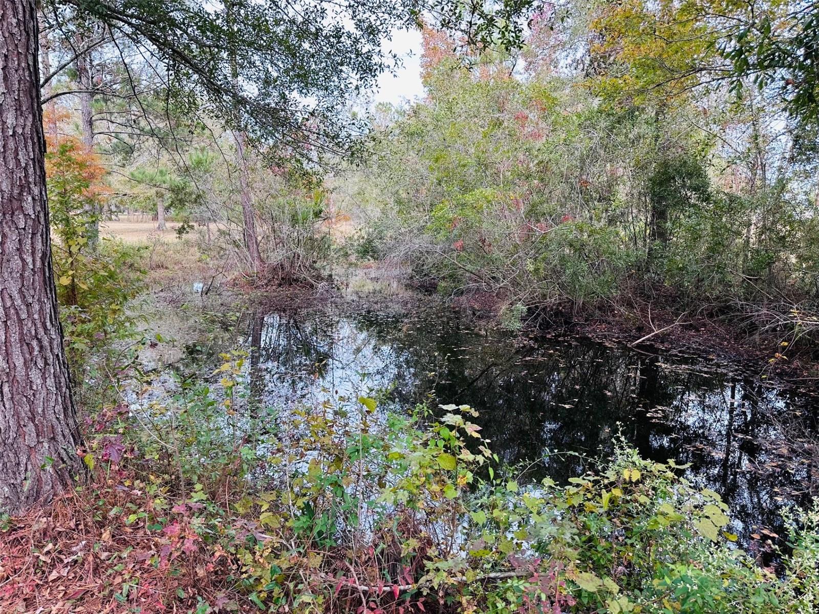12468 SE 349 HWY, OLD TOWN, FL, 32680