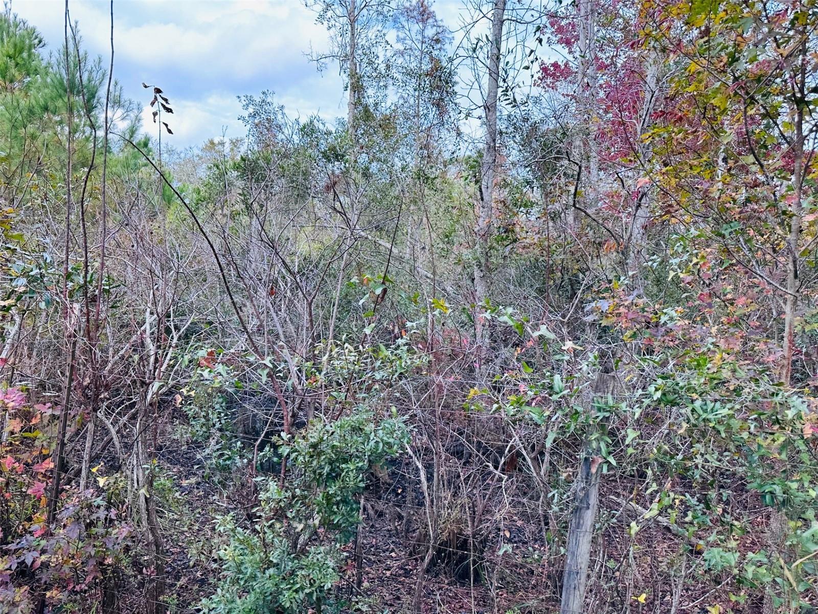 12468 SE 349 HWY, OLD TOWN, FL, 32680