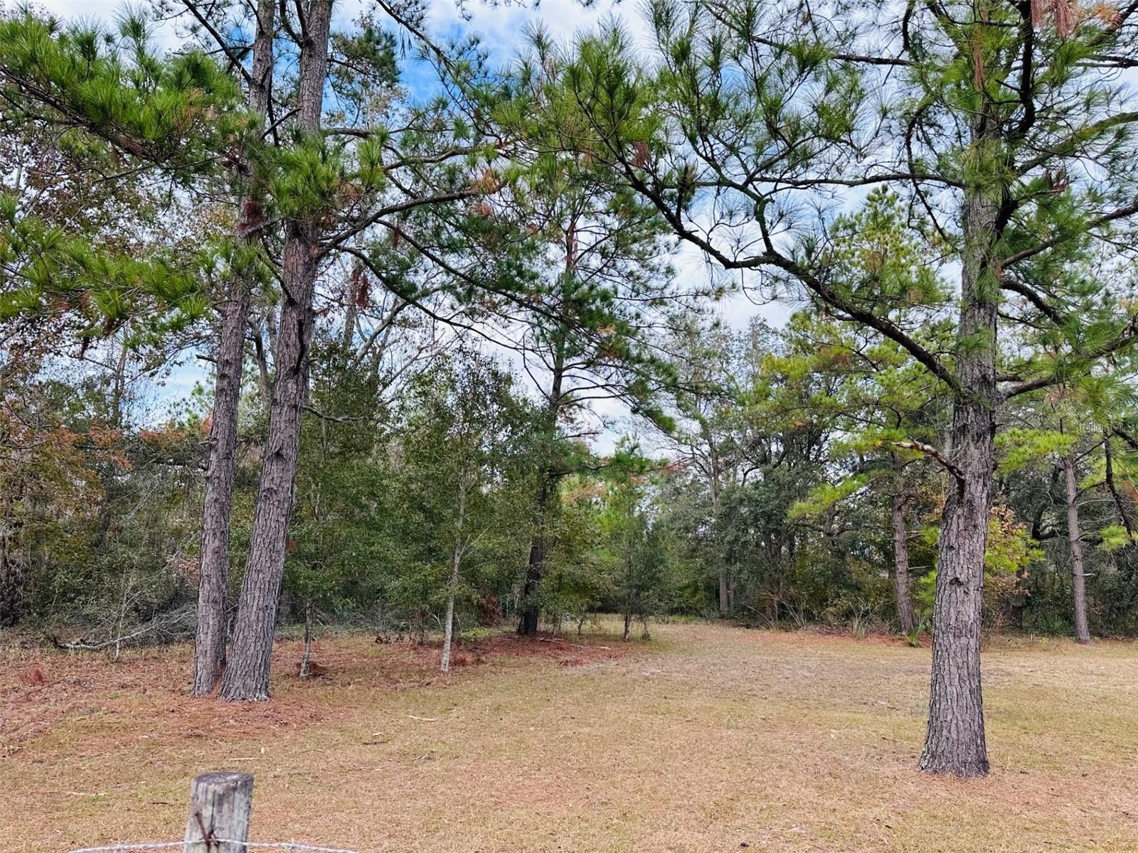 12468 SE 349 HWY, OLD TOWN, FL, 32680
