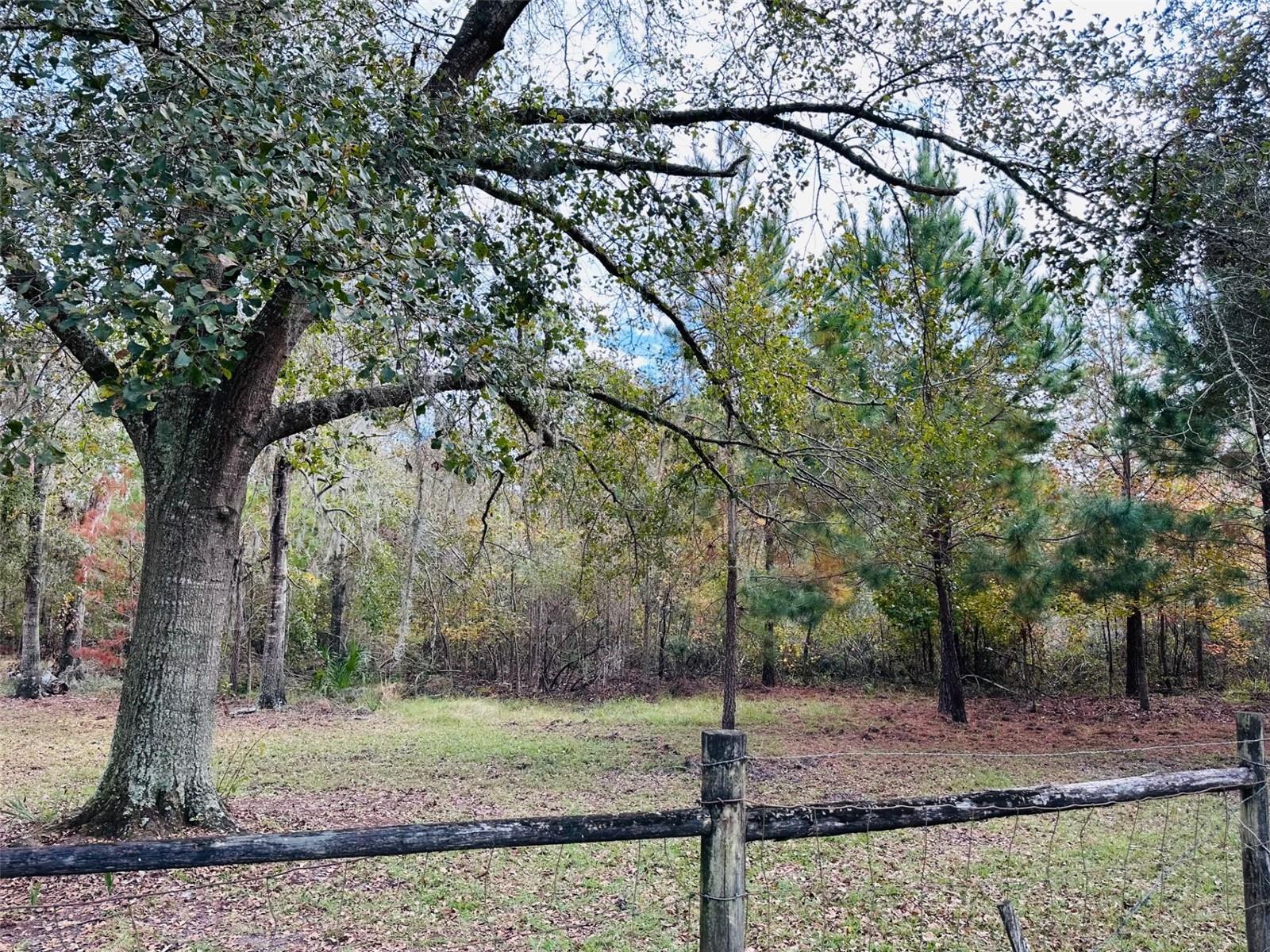 12468 SE 349 HWY, OLD TOWN, FL, 32680