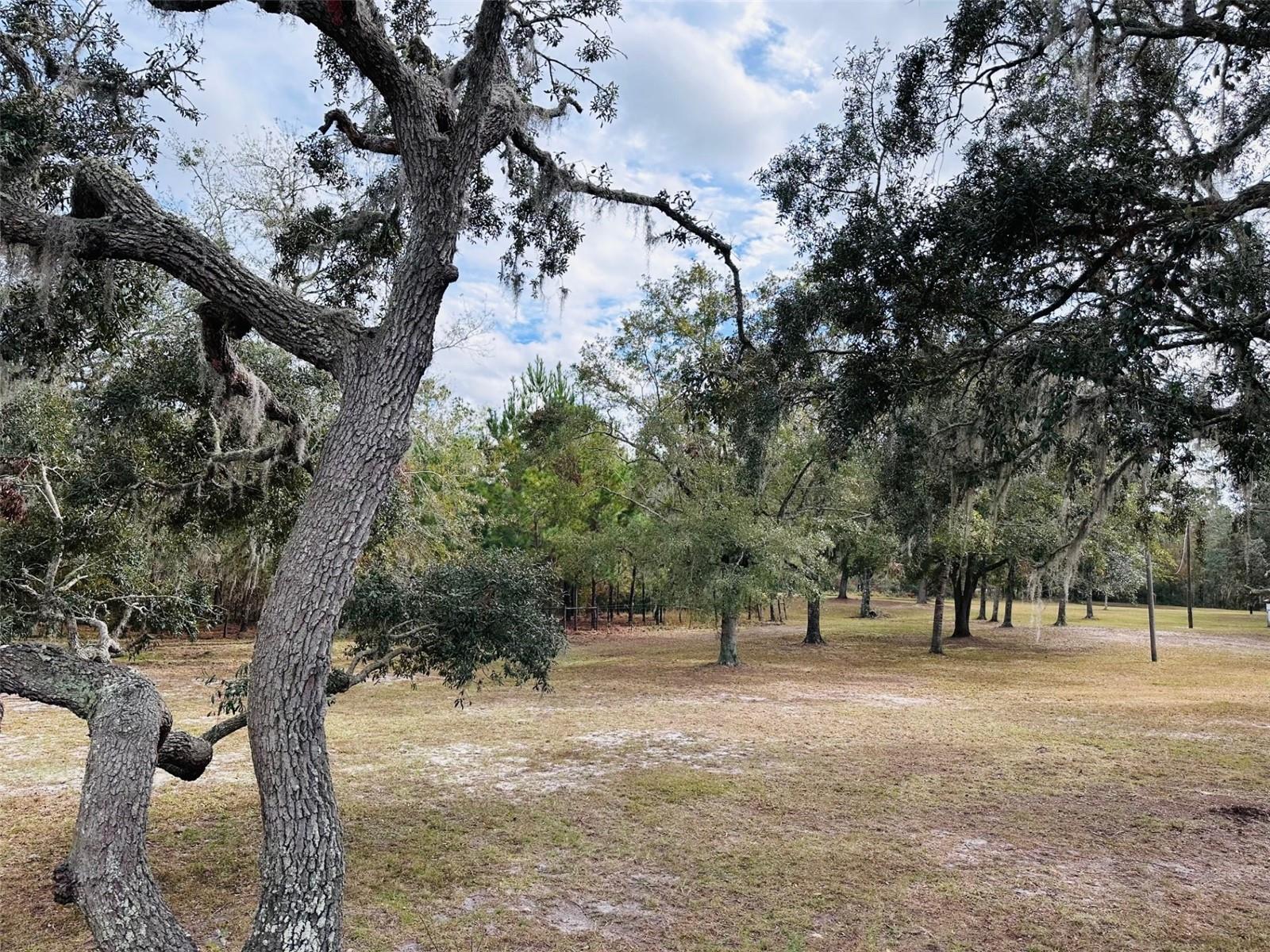 12468 SE 349 HWY, OLD TOWN, FL, 32680