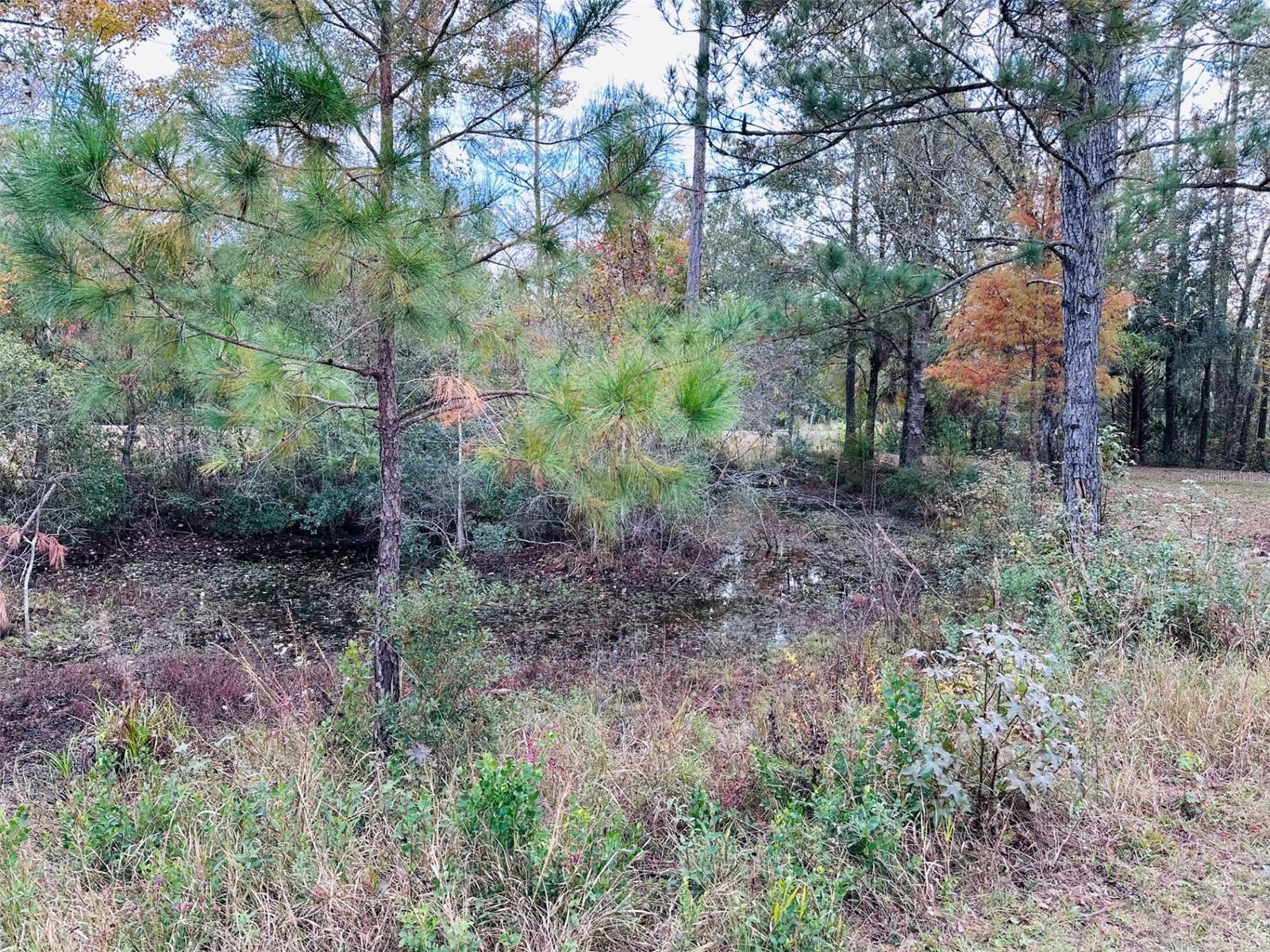 12468 SE 349 HWY, OLD TOWN, FL, 32680