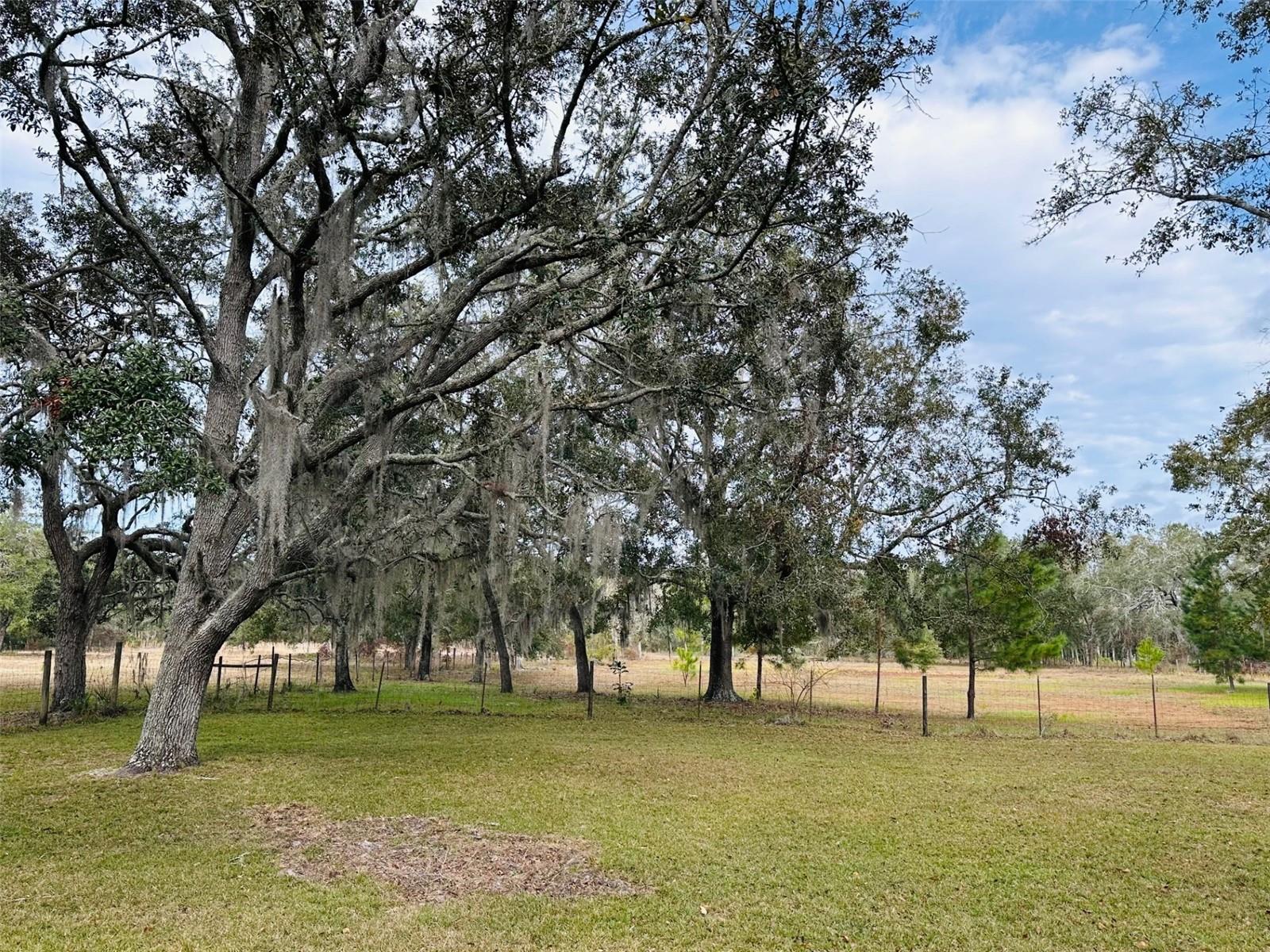 12468 SE 349 HWY, OLD TOWN, FL, 32680
