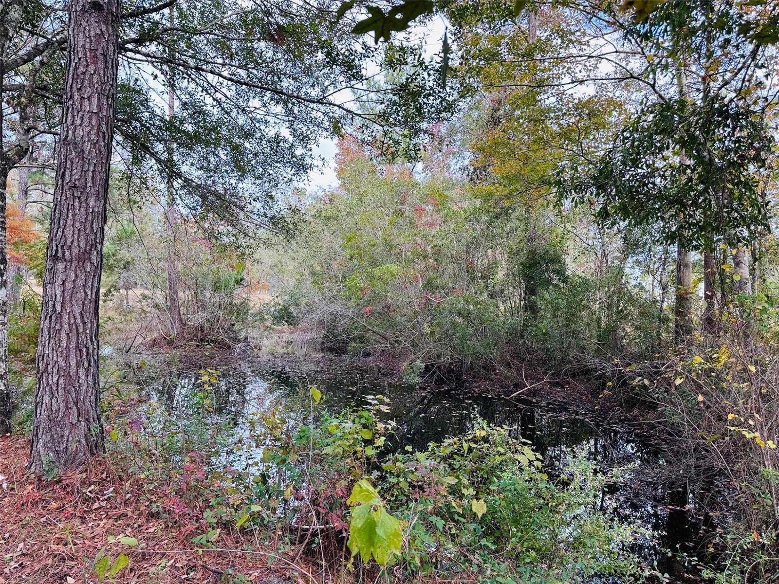 12468 SE 349 HWY, OLD TOWN, FL, 32680